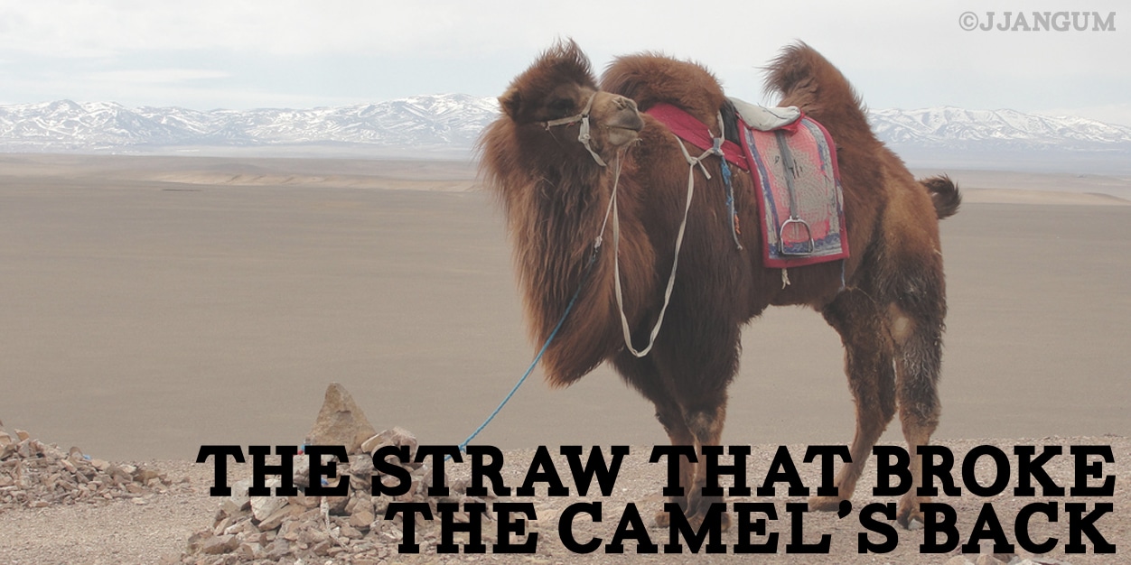 The Straw That Broke The Camel S Back Christian Counseling Center