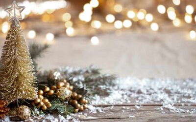 2025 Year End Letter